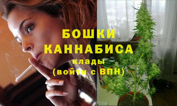 ешки Верея