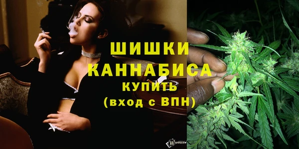 хмурый Бородино