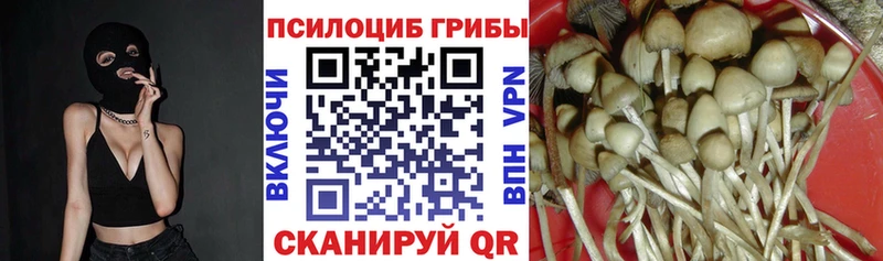 Псилоцибиновые грибы Cubensis  mega маркетплейс  Яблоновский 