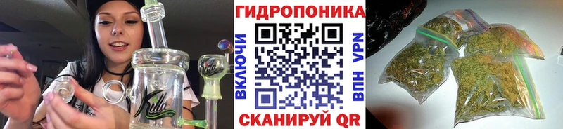 блэк спрут ссылки  наркошоп  Яблоновский  Бошки марихуана гибрид 